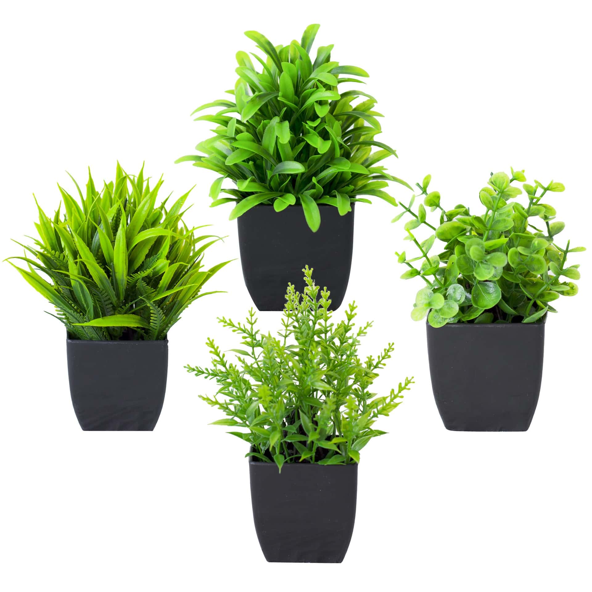 1pc Realistic Mini Eucalyptus  - Home Office Layout 评论和价格