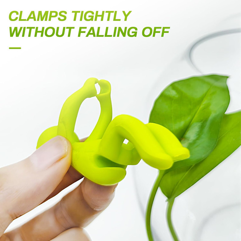Hydroponic Plant Fixing Figuri - Home Office Layout 评论和价格