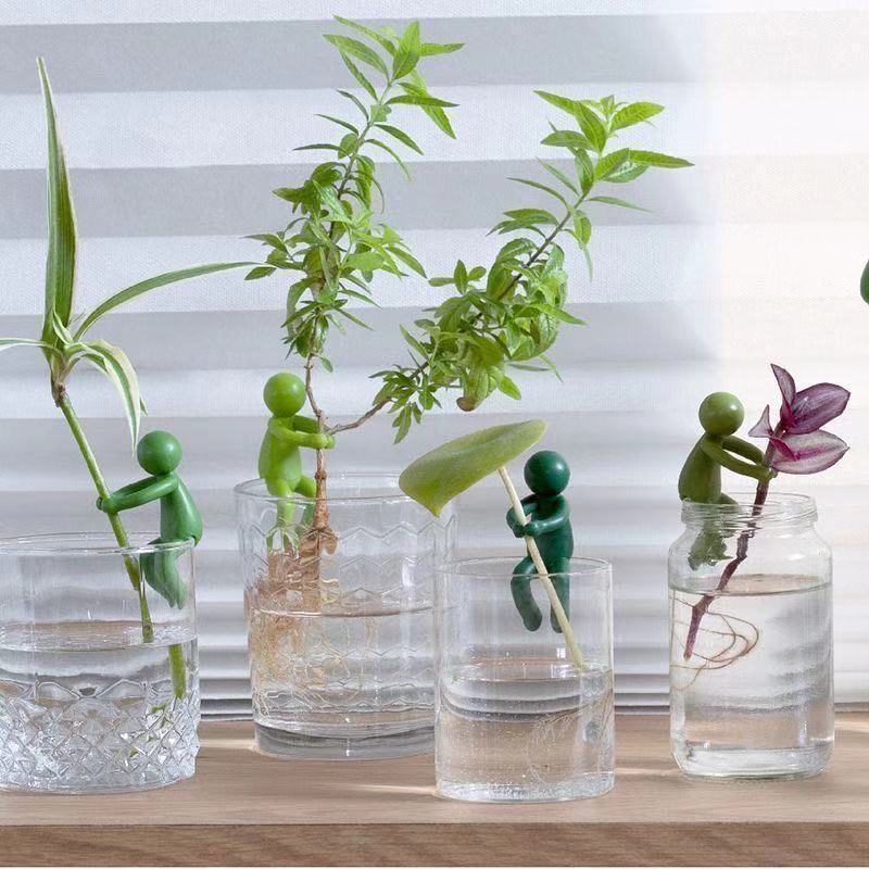 Hydroponic Plant Fixing Figuri - Home Office Layout 评论和价格