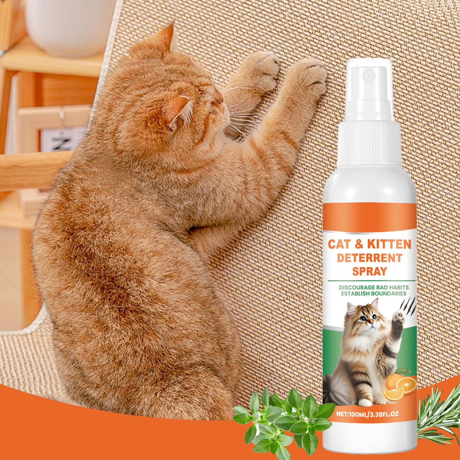 Cat Scratch Spray Deterrents S - Home Office With Sofa 评论和价格