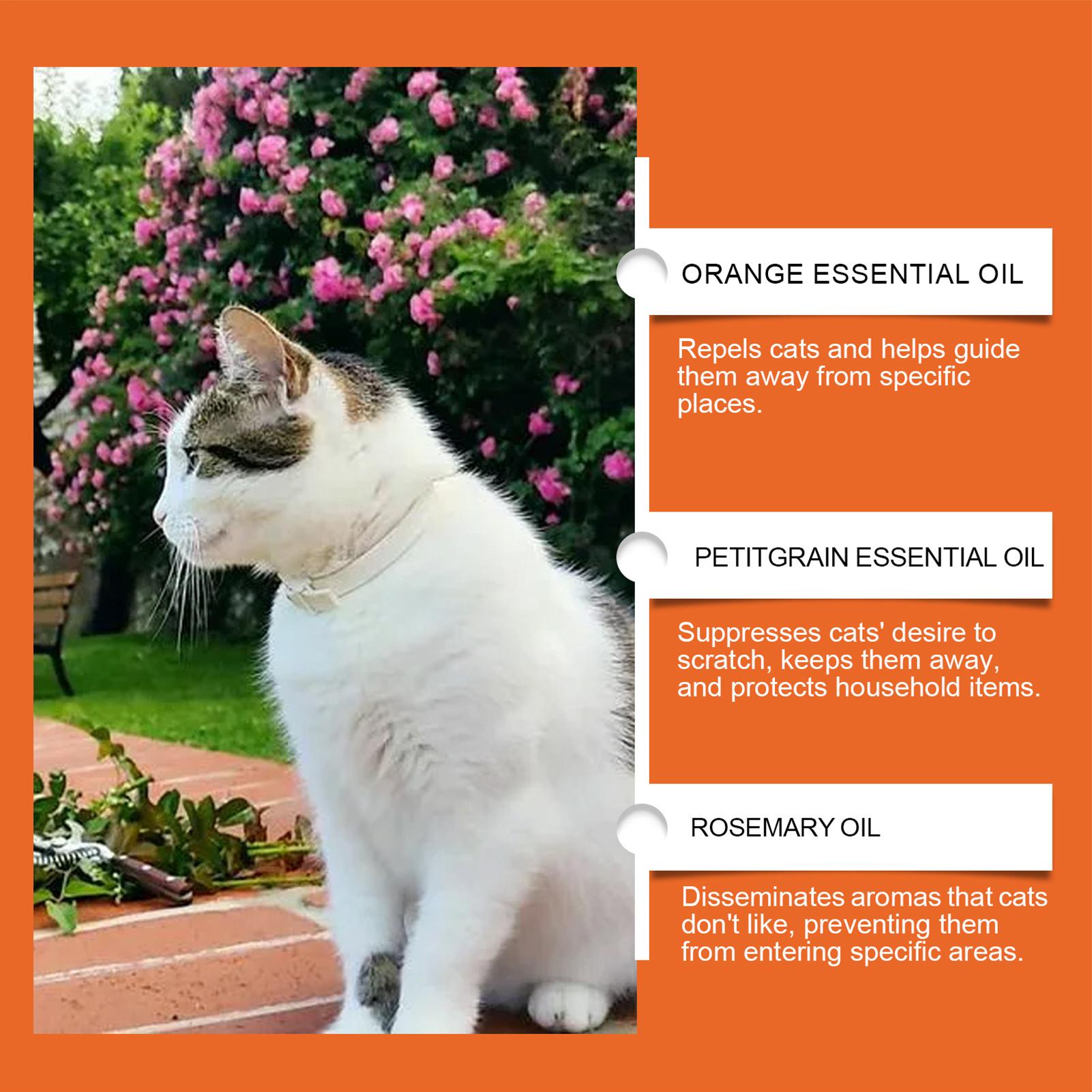 Cat Scratch Spray Deterrents S - Home Office With Sofa 评论和价格