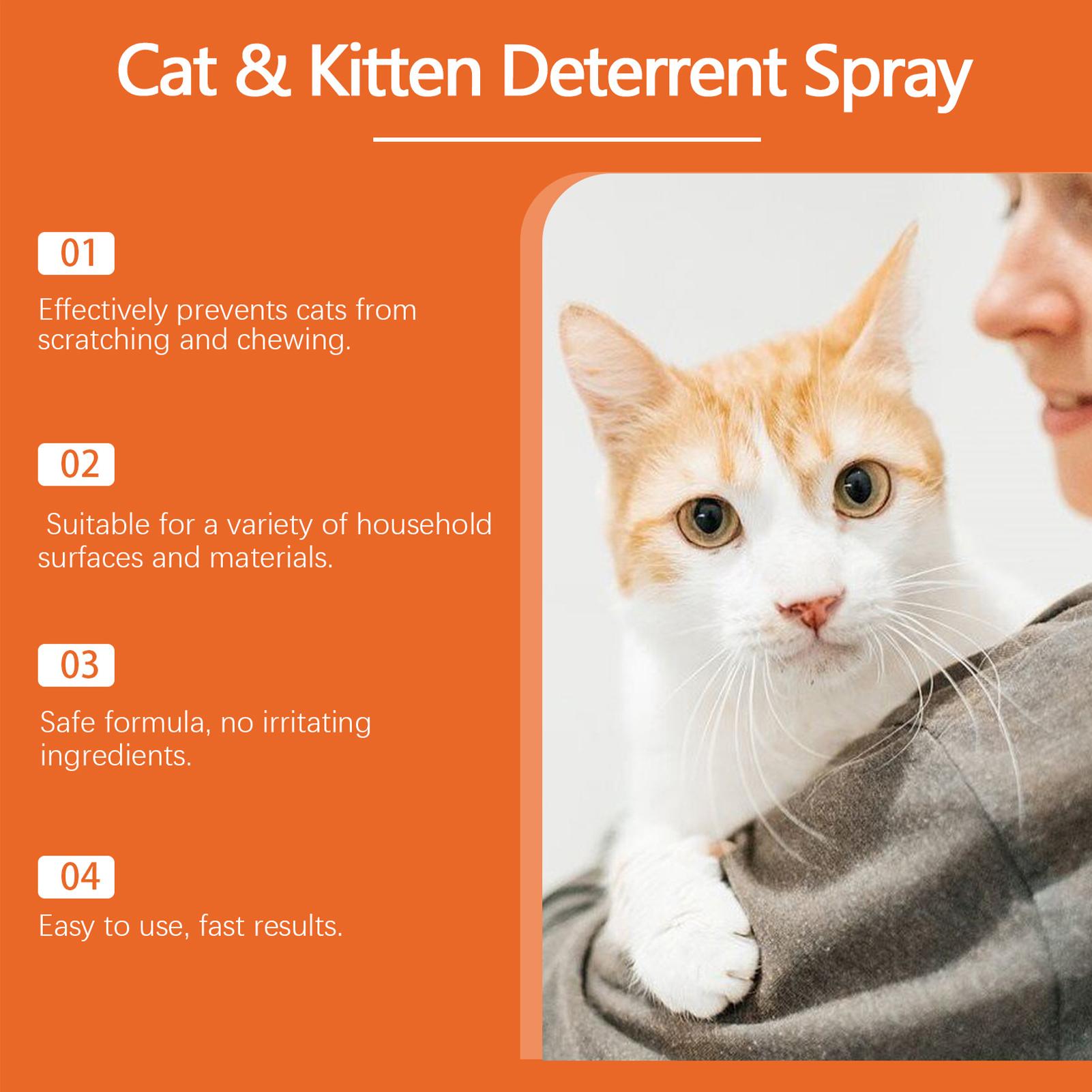 Cat Scratch Spray Deterrents S - Home Office With Sofa 评论和价格
