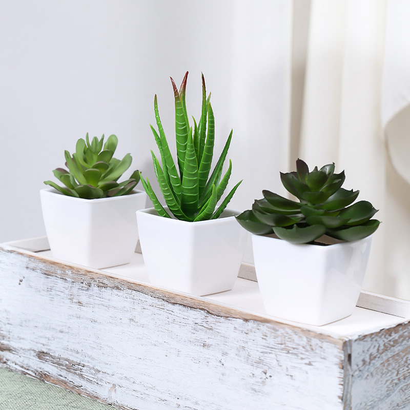 3PCS Artificial Evergreen Plan - Home Office Layout 评论和价格